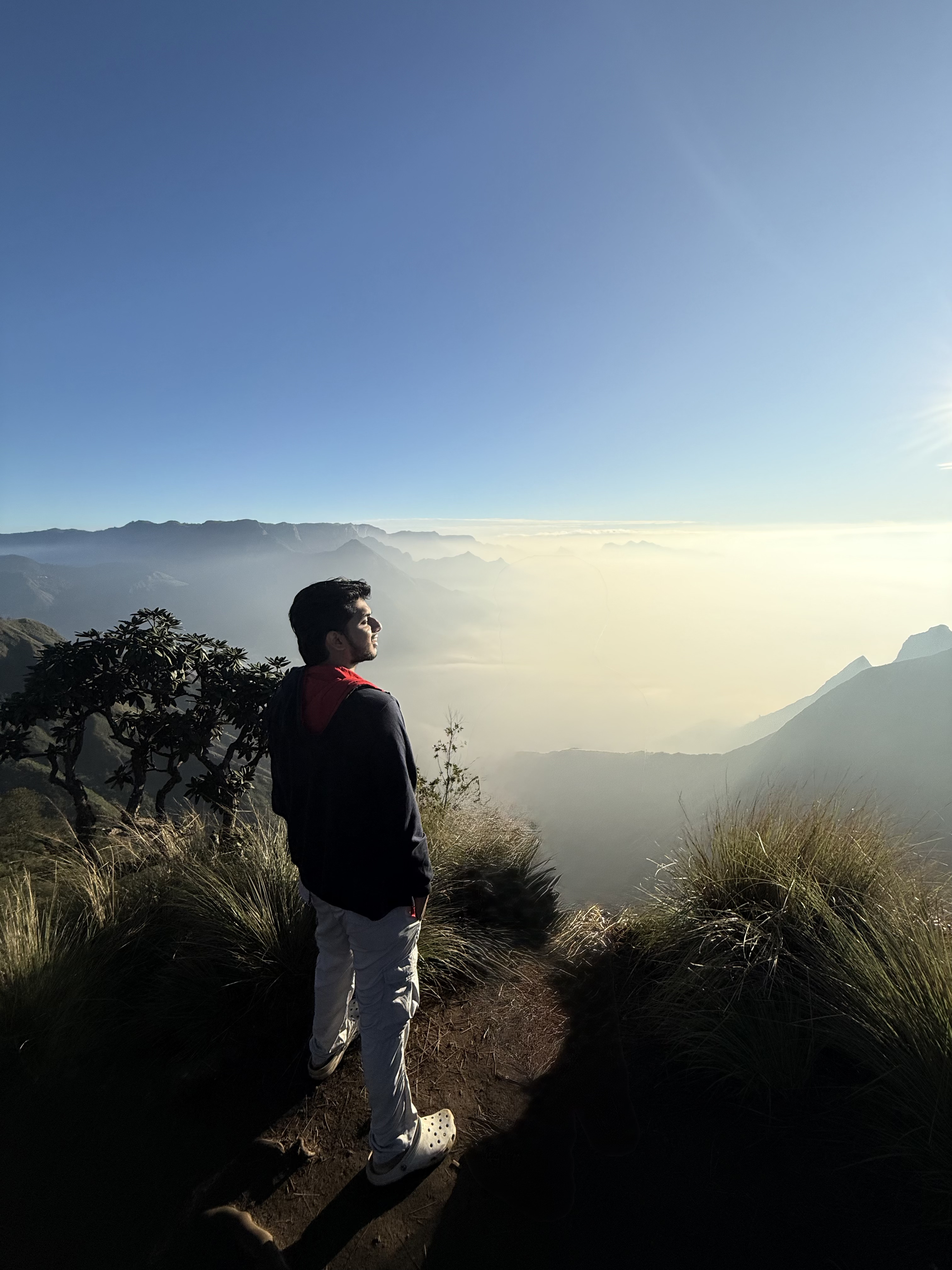 Naveen Peter React Specialist Naveen Peter - React Developer Profile Image 3